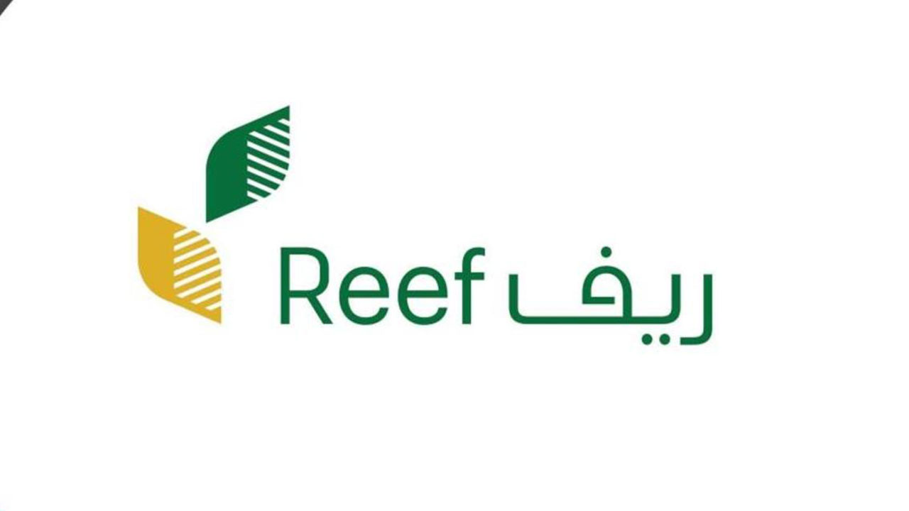برنامج ريف: 3 خطوات للتقديم على دعم الشموع ومواد التجميل