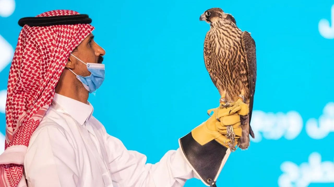 الليلة الـ17 لمزاد نادي الصقور الثاني.. الحصيلة تتجاوز 4.5 مليون ريال