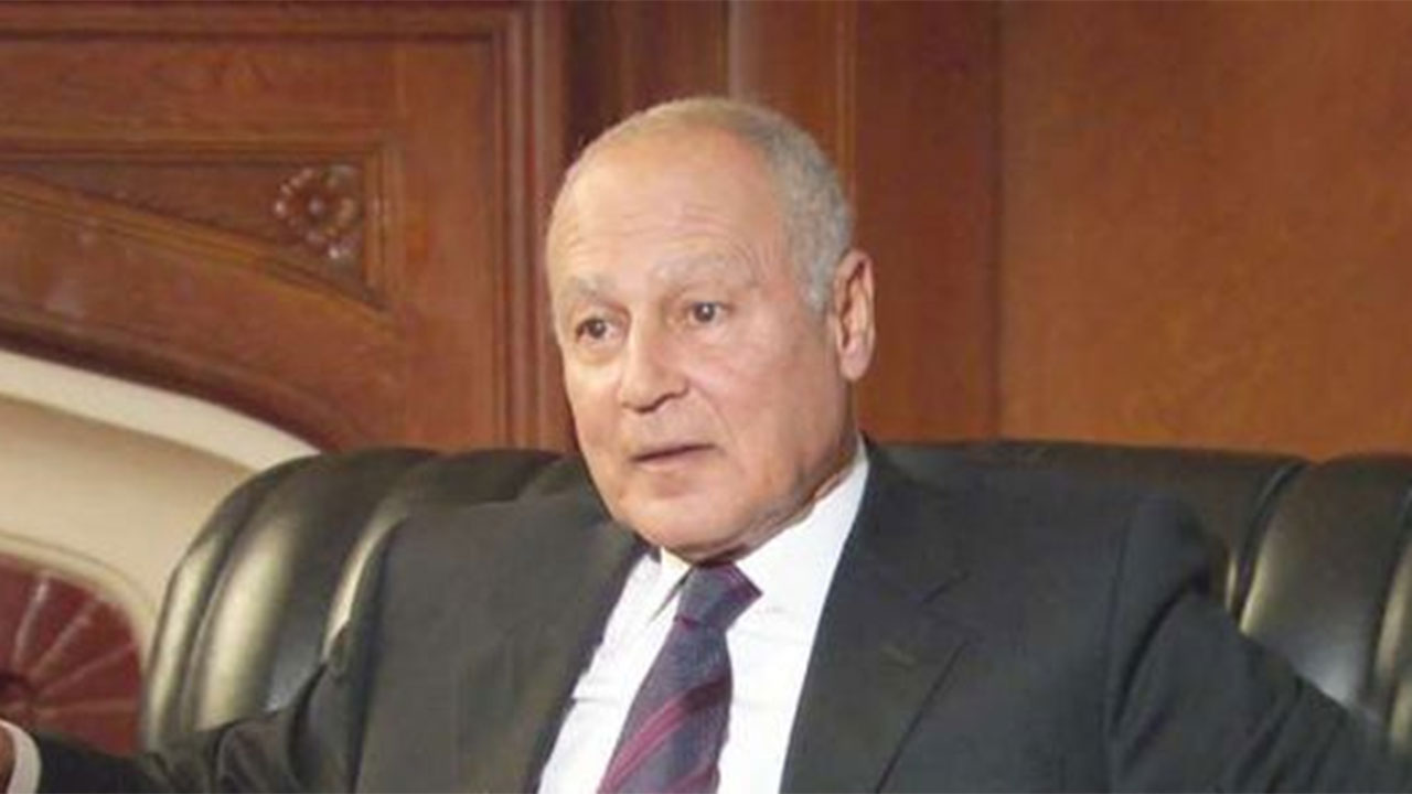 أبو الغيط: «الشرق الأوسط الأخضر» تؤكد التزام المملكة الثابت بالتنمية البيئية المستدامة