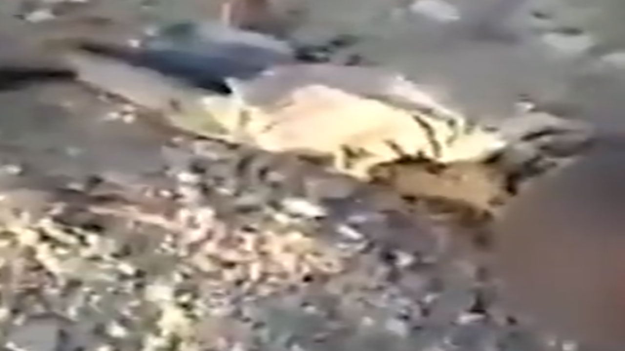 بالفيديو.. قيادي حوثي يقتل طفلًا يمنيًا بتهمة جلب مياه الشرب لعائلته