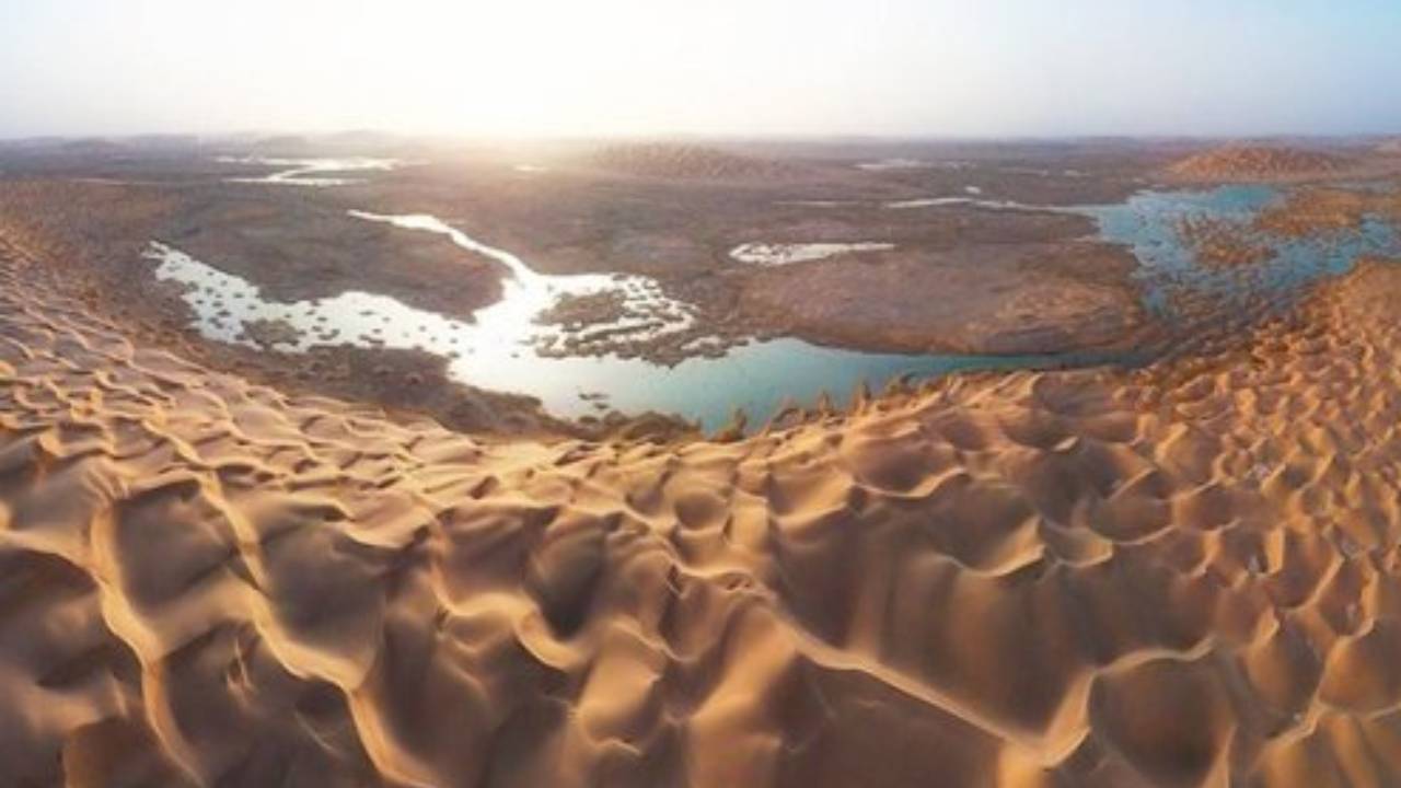 زراعة أرز بالربع الخالي بمياه الخليج.. خبير يقترح ويطرح آلية التنفيذ