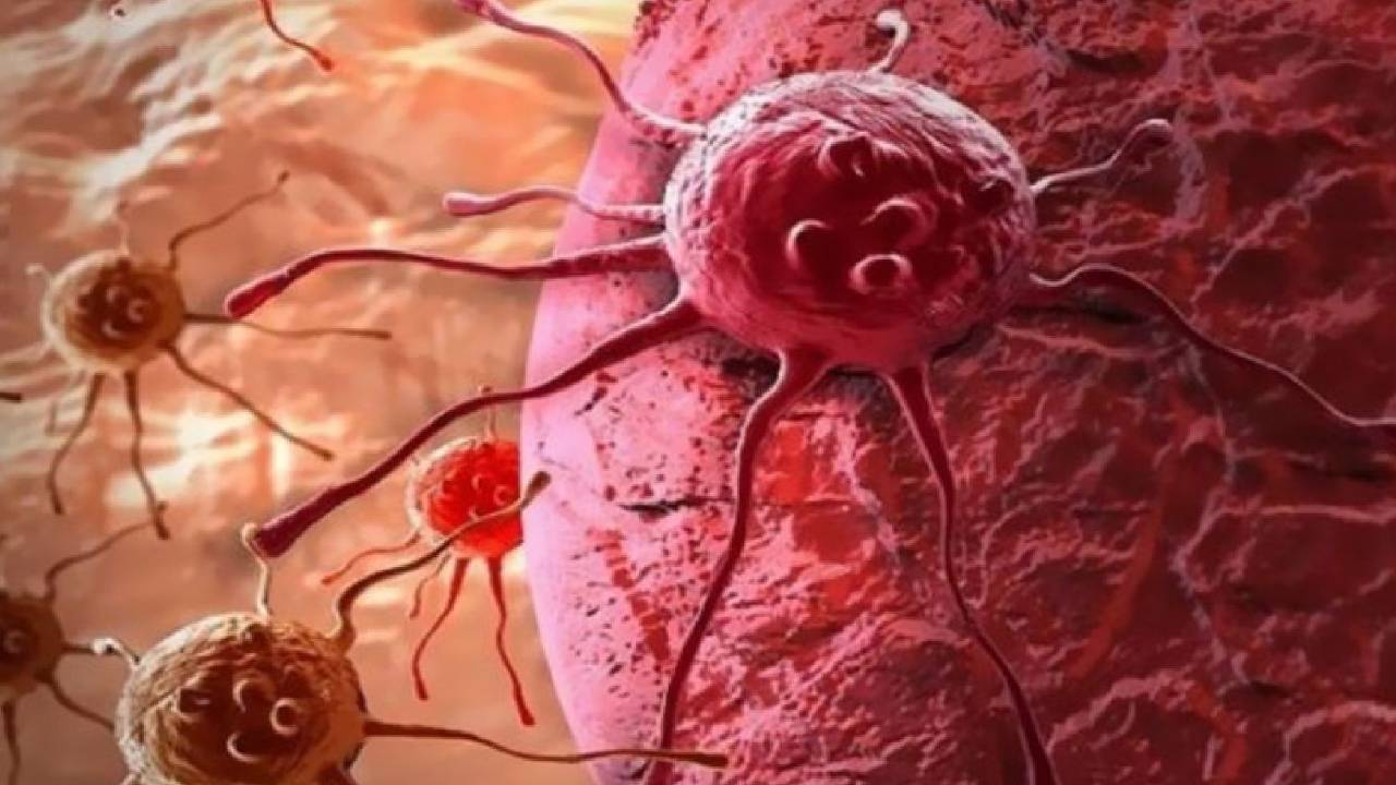 دراسة تتوصل لمنتج شائع الاستخدام يتسبب في غالبية الأورام السرطانية
