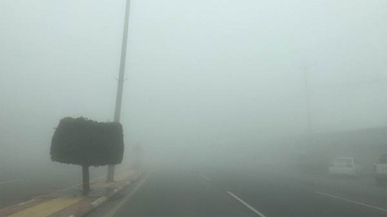 الأرصاد ينبه من ضباب على 4 مناطق في المملكة