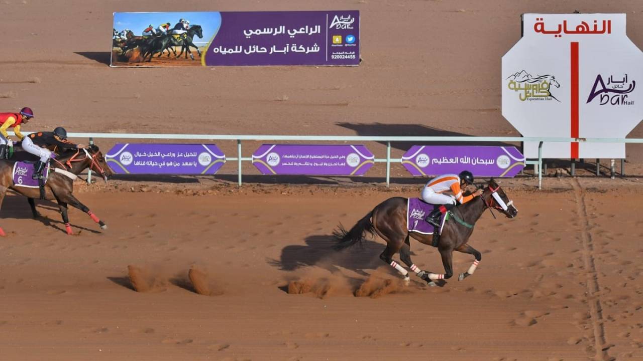 «عايفه» تتألق في حفل ميدان فروسية حائل الثالث