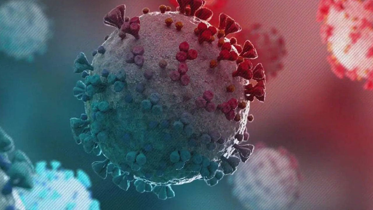 أمريكا تسجل أول إصابة بمتحور أوميكرون في كاليفورنيا