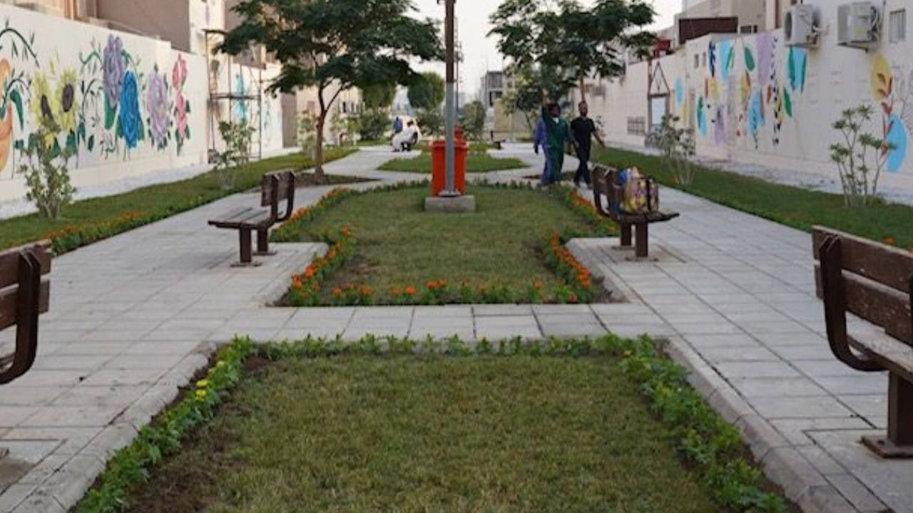 بزراعة 20 ألف نبتة.. أمانة العاصمة المقدسة تشارك في اليوم العالمي للتطوع