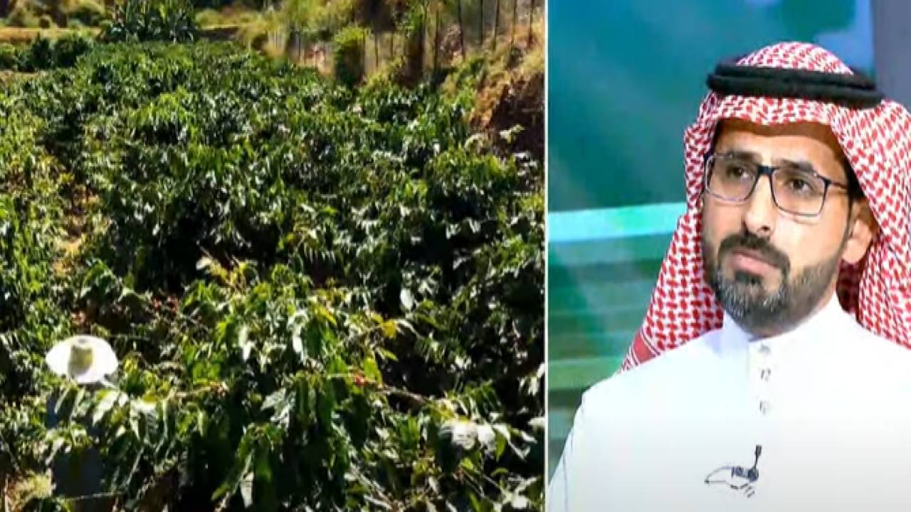 بالفيديو.. مختص يكشف عن أسباب ارتفاع سعر القهوة وأفضل أنواعها