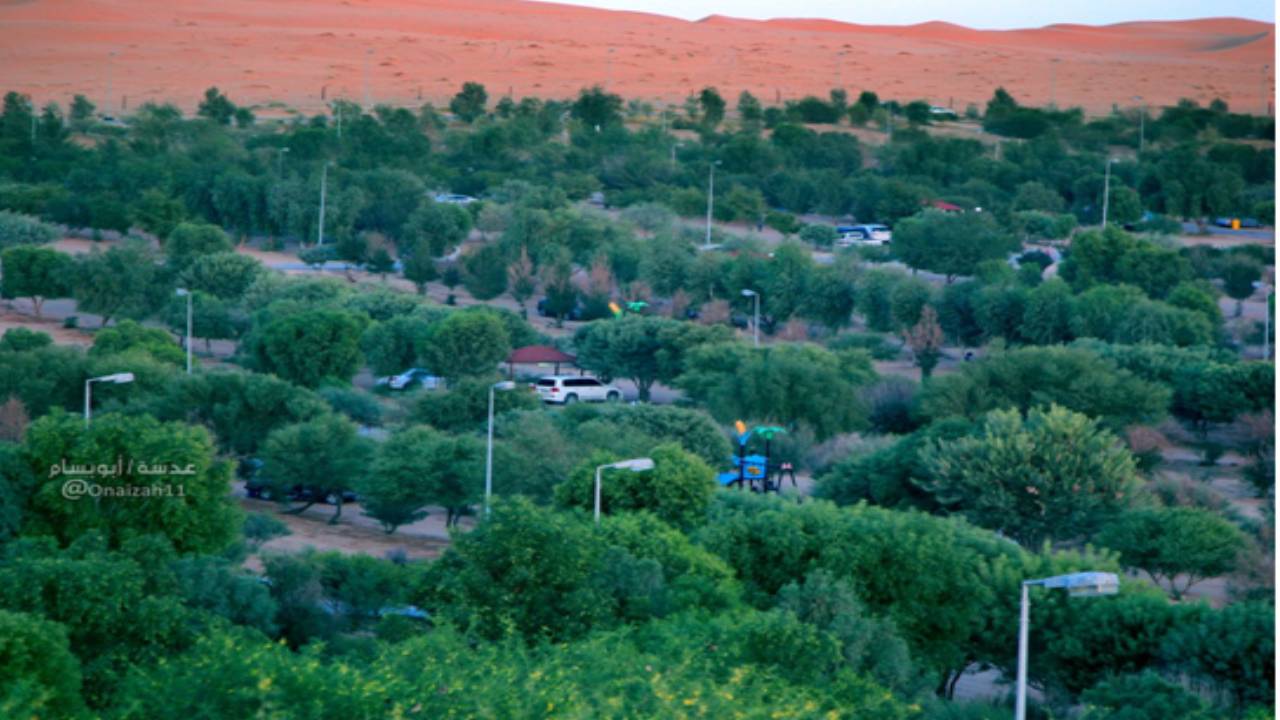 أكبر حديقة نباتية في العالم.. منتزهات الغضا بعنيزة تدخل موسوعة جينيس