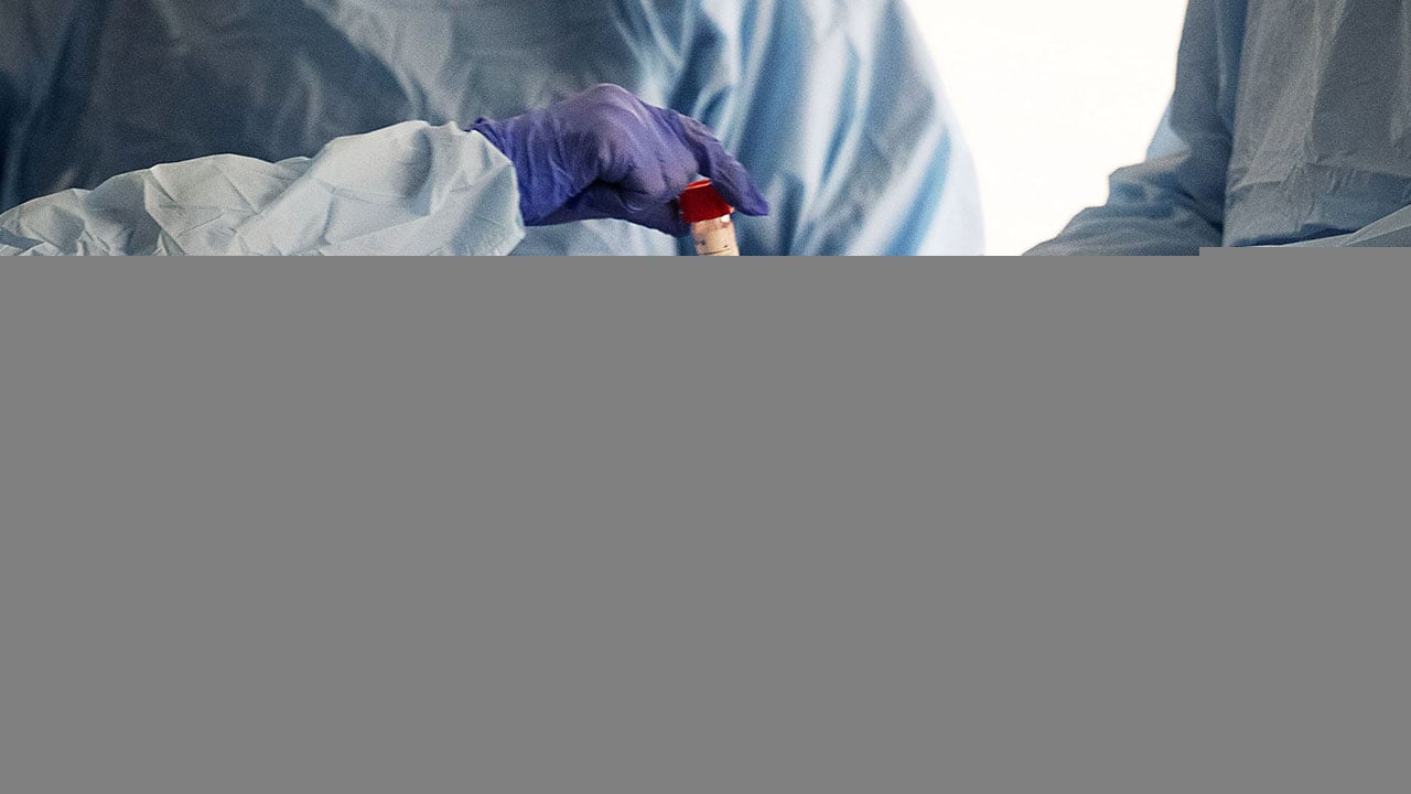 ظهور «قاتل محتمل» لـ«كورونا»  لدى أسماك مفترسة.. هل ينجح العلاج؟