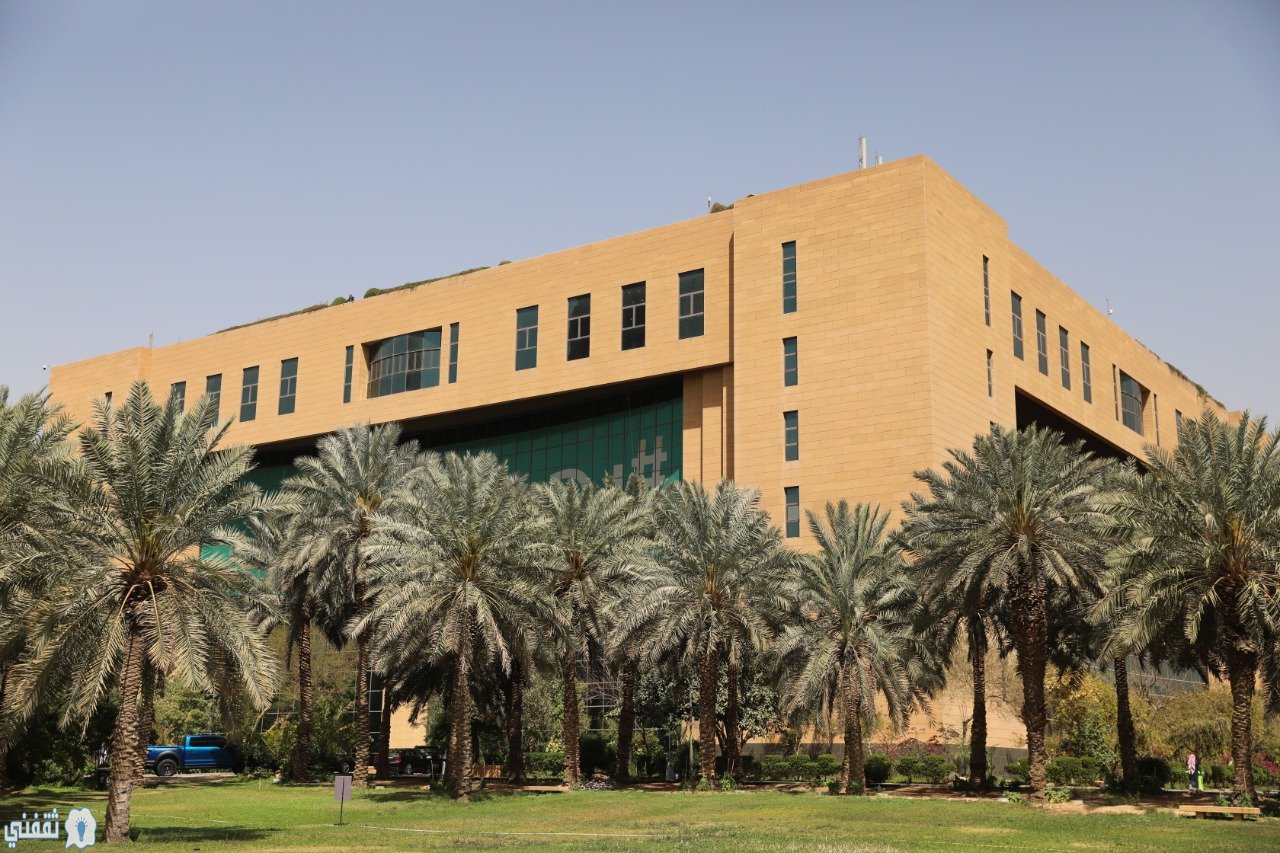 منع الأمانات من التصرف في مقار المجالس البلدية