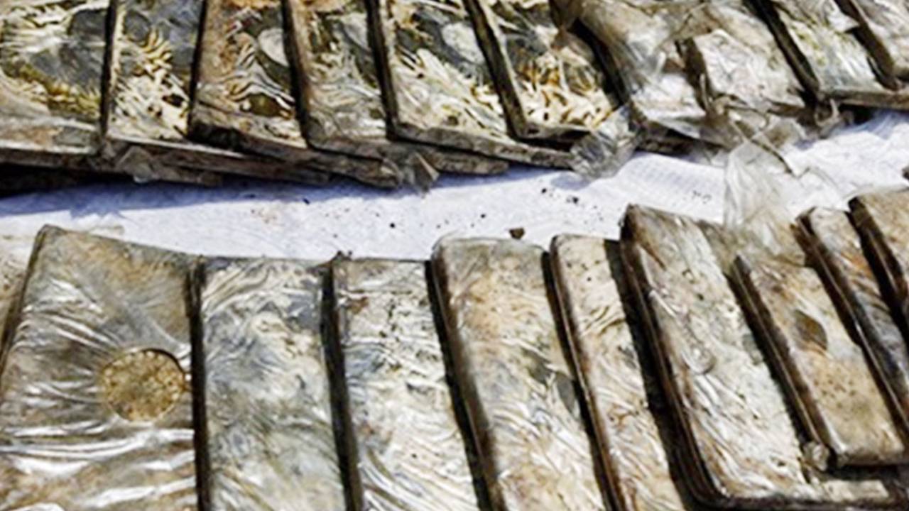 ضبط 22 كيلوجرامًا من الحشيش مخبأة في إحدى المركبات بجازان