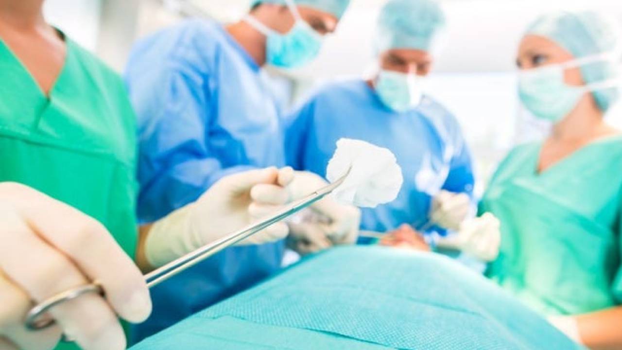 «زراعة الأعضاء»: إجراء 4 عمليات زراعة قلب وكبد و4 عمليات كلى تم التبرع بها من متوفين دماغيًا
