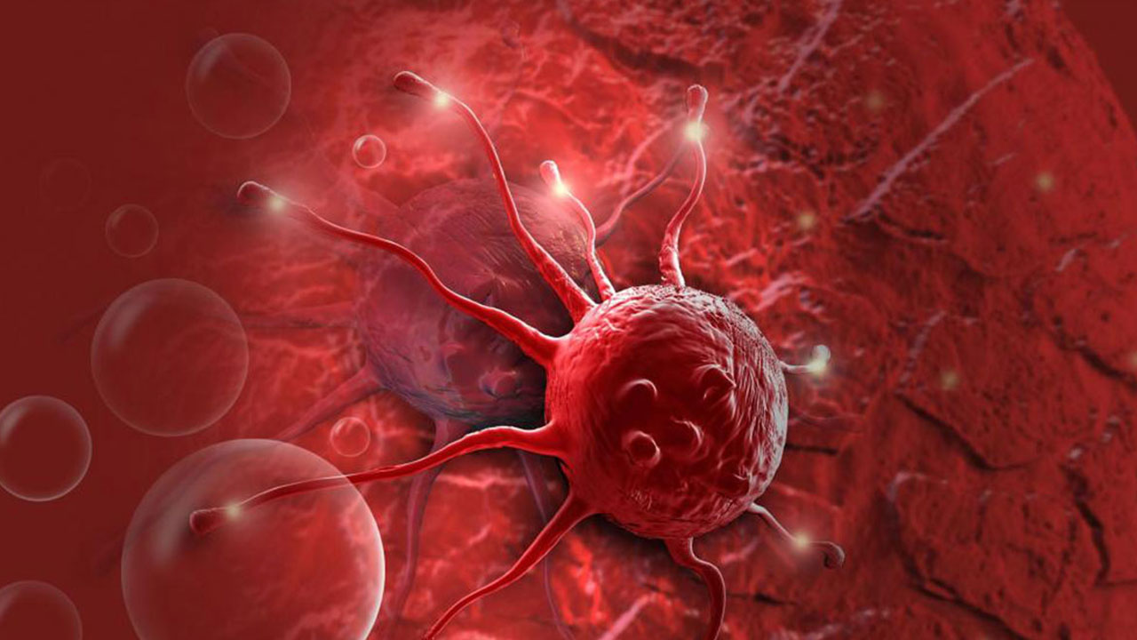 علاج بالأجسام المضادة.. نافذة أمل جديدة لمرضى سرطان الدم