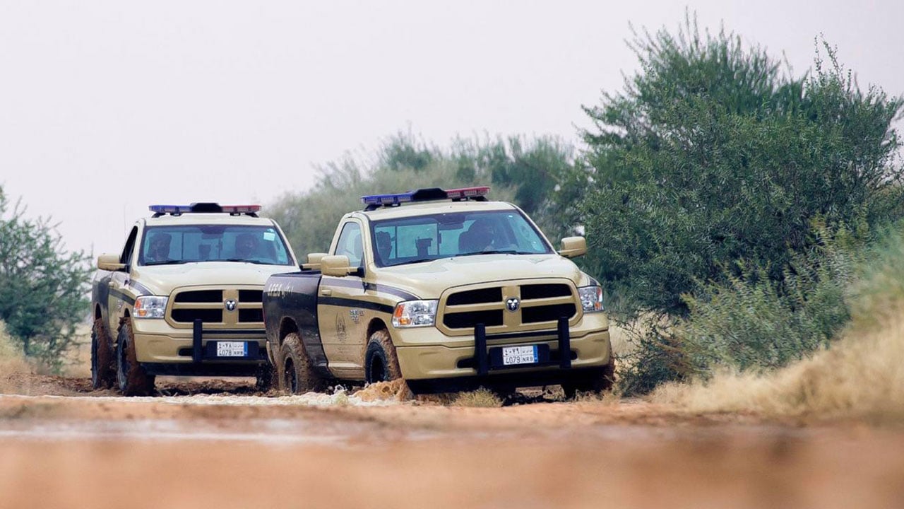 ضبط 3 مخالفين لنظام البيئة لقطعهم الأشجار في الرياض