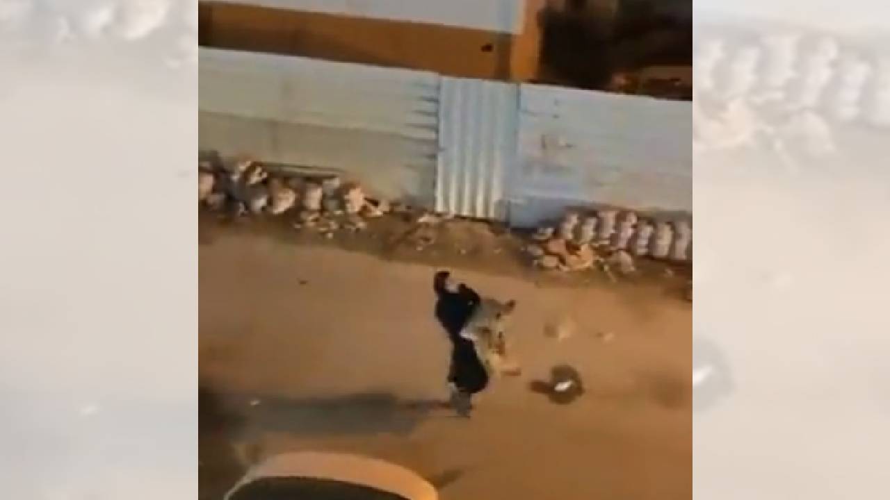 بالفيديو.. فتاة تسيطر على أسد أثار الذعر في أحد شوارع الكويت