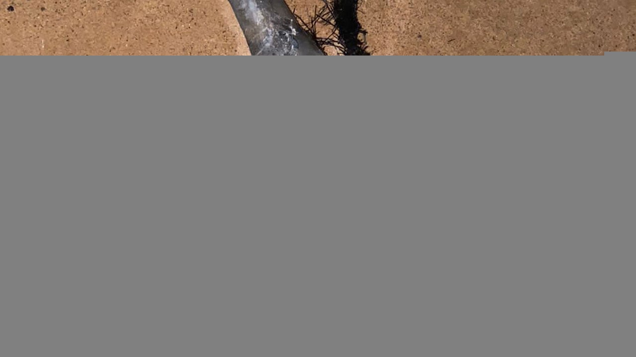 التحالف ينشر صورًا للمسيرات الحوثية التي دمرتها الدفاعات السعودية