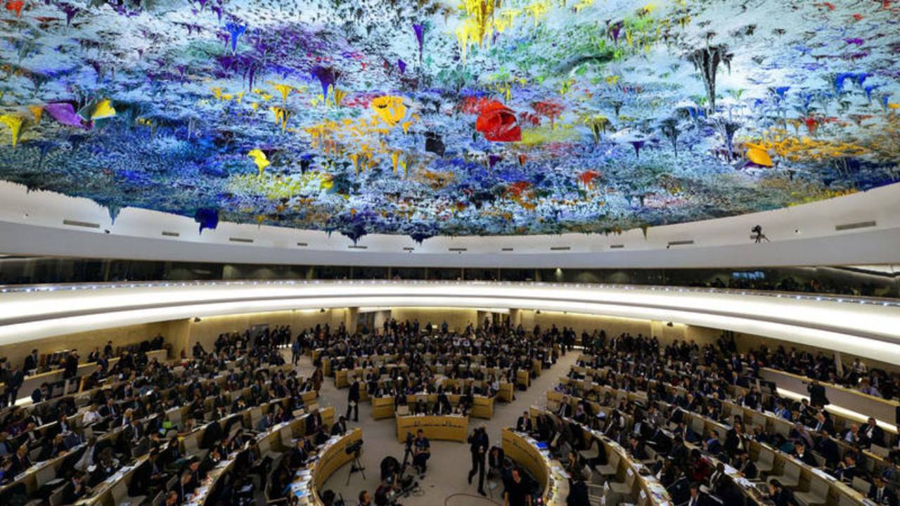 «حقوق الإنسان» بالأمم المتحدة يحقق في جرائم الاحتلال بغزة