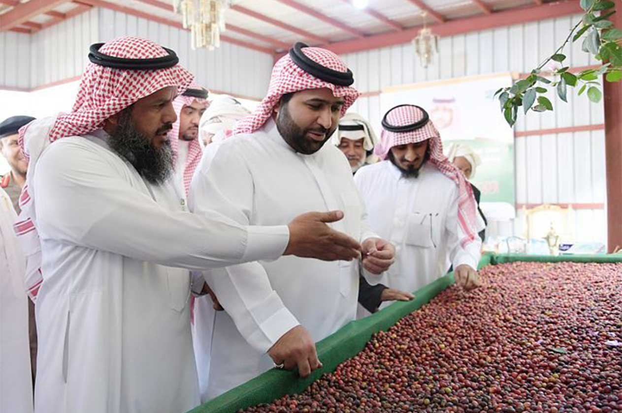 بالصور.. نائب أمير جازان يتفقد مشاريع الدائر ويتجول بمزارع البن