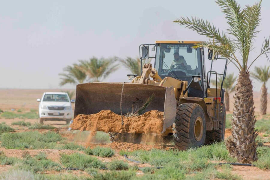 استعادة 100 ألف متر أراضٍ حكومية من متعدّين بمنتزه الدقم