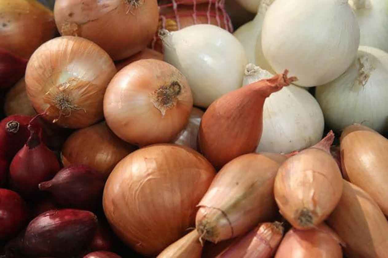 «البصل».. فوائد كثيرة في مكافحة العديد من الأمراض