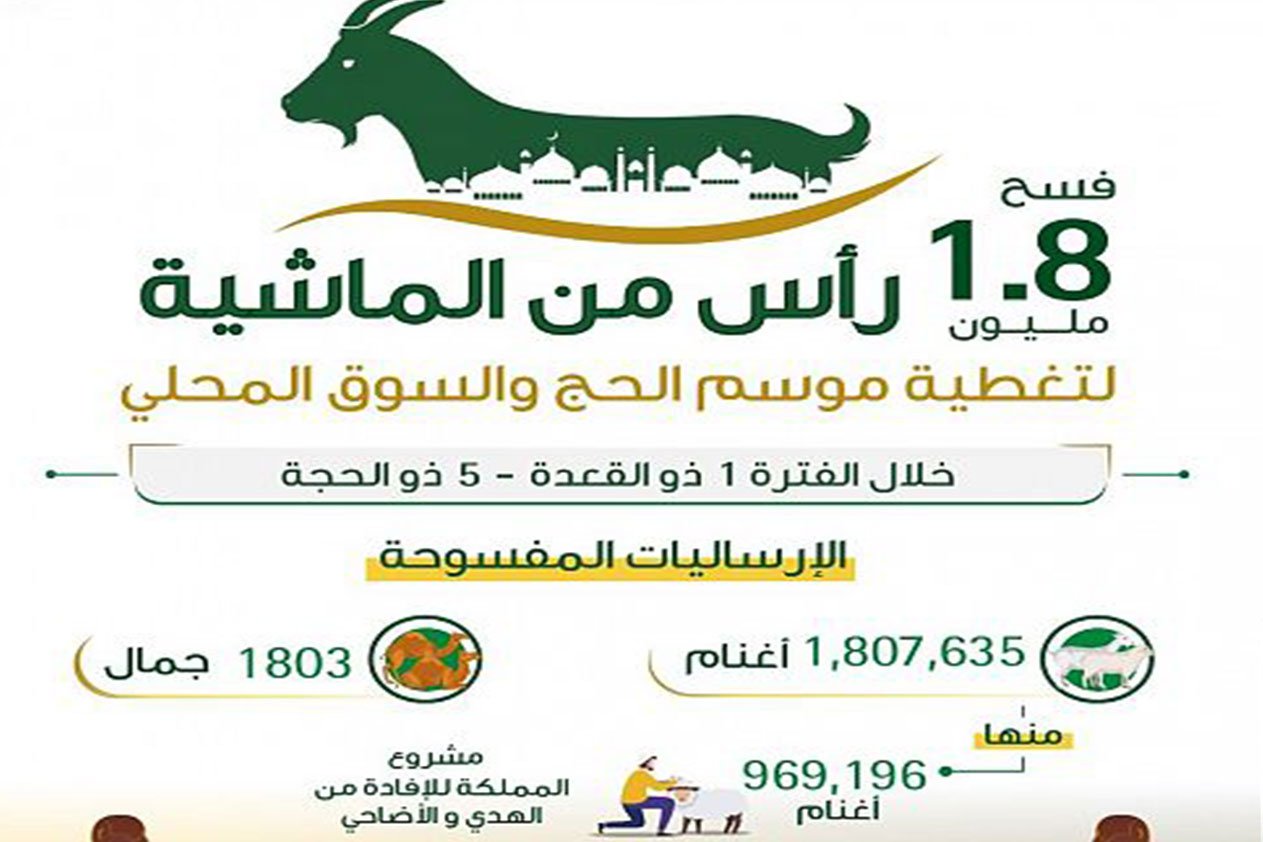«البيئة» تفسح 1.8 مليون رأس من الماشية منذ مطلع ذي القعدة