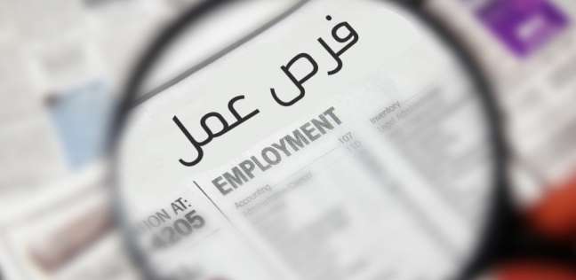 «النقل» تعلن عن توفر وظائف شاغرة للكوادر المتميزة
