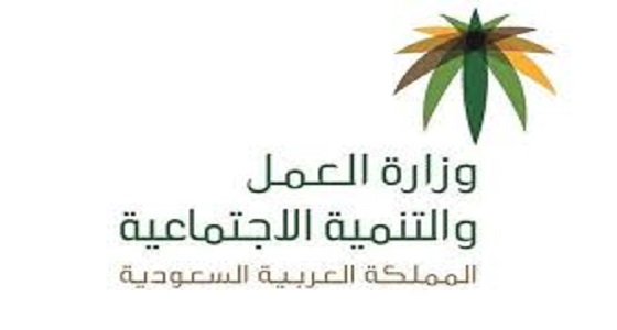 «العمل» توضّح خطوات استرداد قيمة تأشيرة الاستقدام المُلغاة