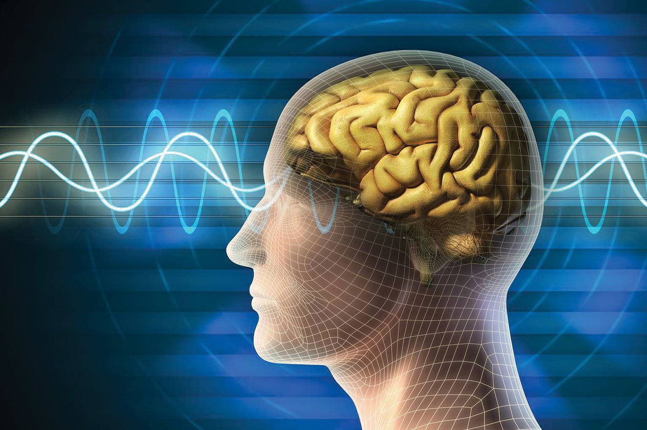 قائمة أطعمة تدعم الذاكرة وصحة الدماغ