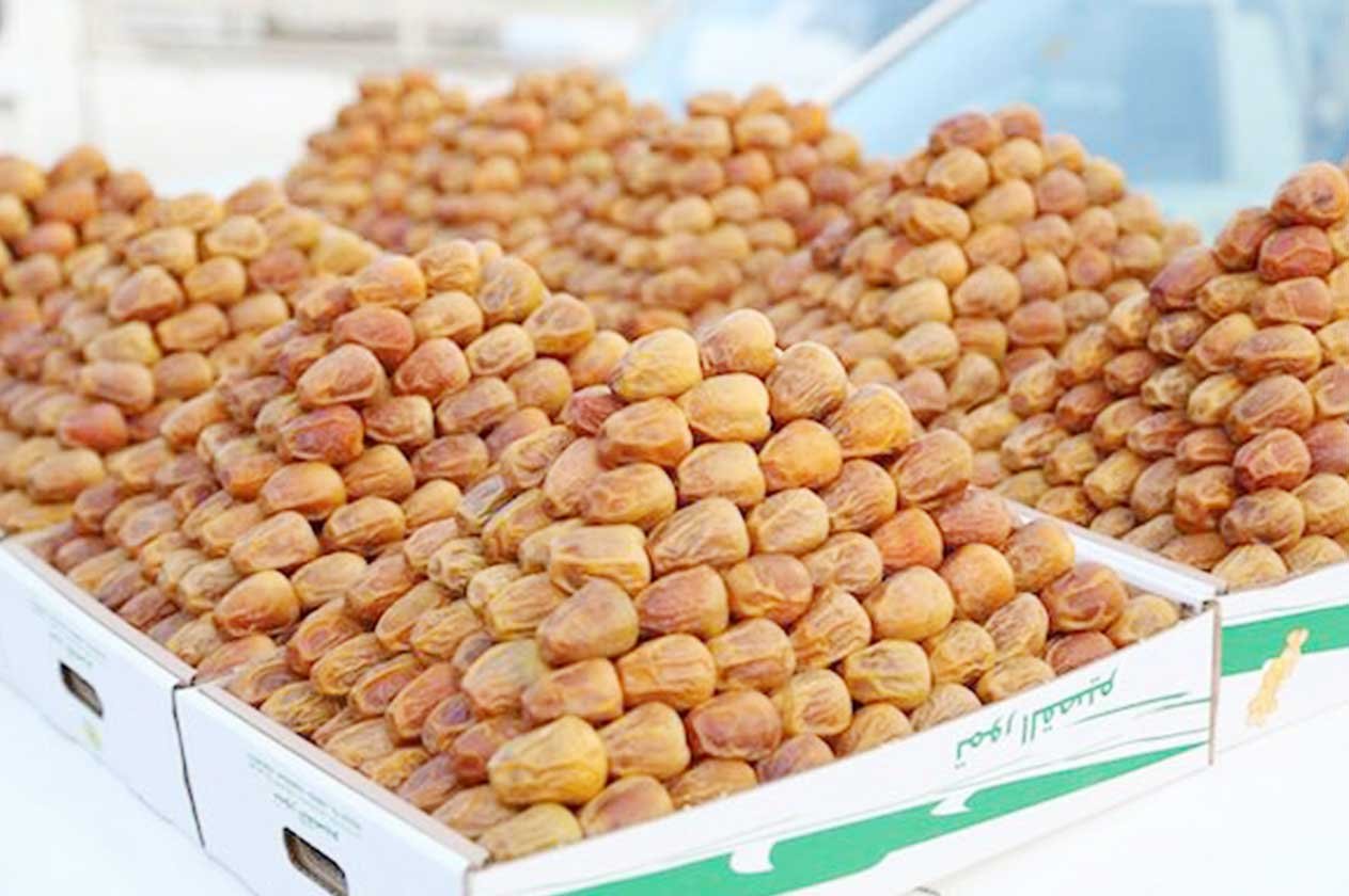 «تمورنا بركة»: مبيعات مهرجان المدينة تتجاوز الـ281 مليون ريال