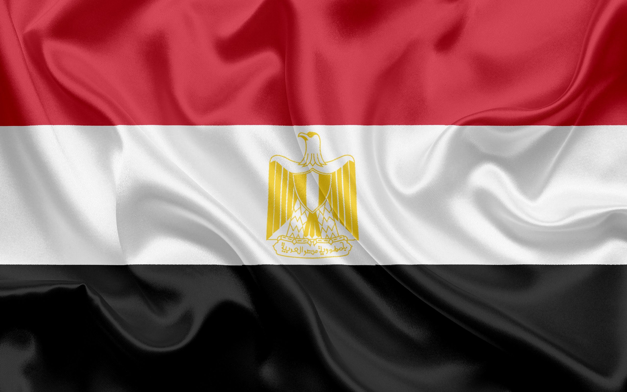 مصر تدين العدوان التركي على سوريا وتدعو الجامعة العربية إلى اجتماع طارئ