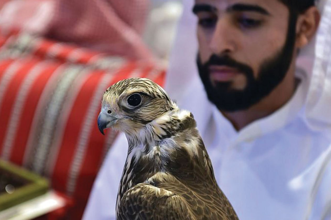 بالصور.. 70 ألف زائر في اليوم الأول لمعرض الصقور والصيد السعودي الثاني