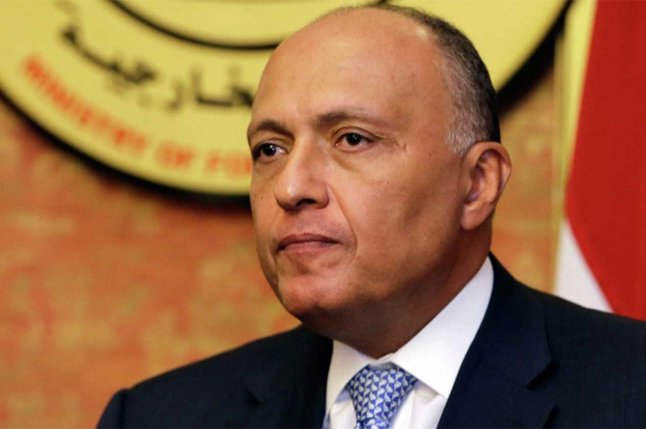 شكري: العدوان التركي عرقل انفراجة في الحل السياسي بسوريا