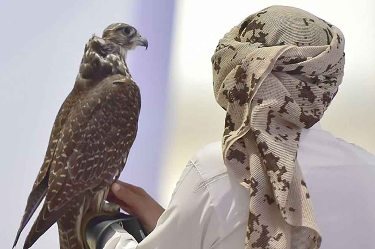 معرض الصقور والصيد السعودي يختتم فعالياته بحضور أكثر من 300 ألف زائر
