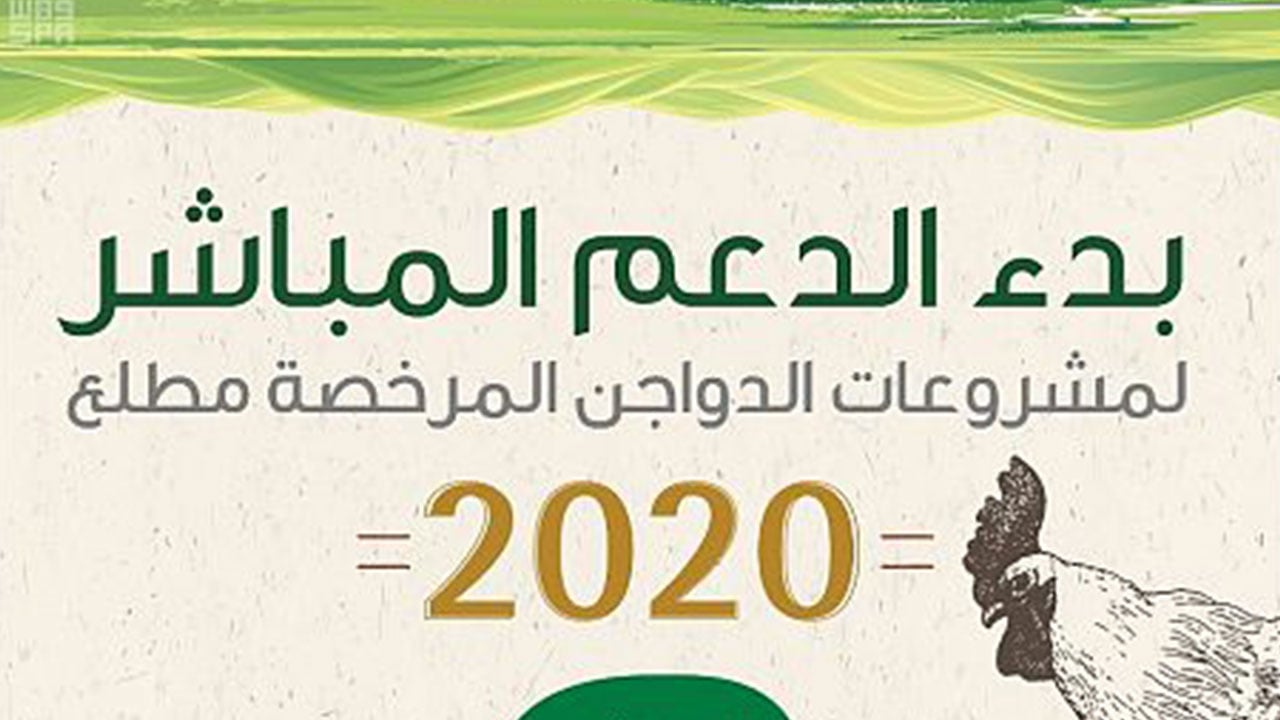 «البيئة» تبدأ دعم مشروعات الدواجن في المملكة مطلع 2020