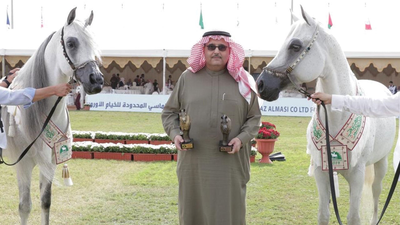 ختام بطولات الخيل سعودية الأصل والمنشأ