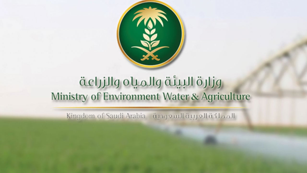 وزارة البيئة: التسجيل الإلكتروني للإبل مجانًا في الوقت الحالي