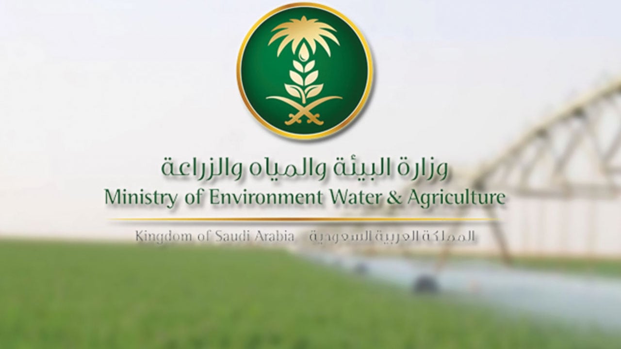 «البيئة»: إعادة توجيه «إعانات الأعلاف» قريبًا.. والصرف نهاية يناير القادم