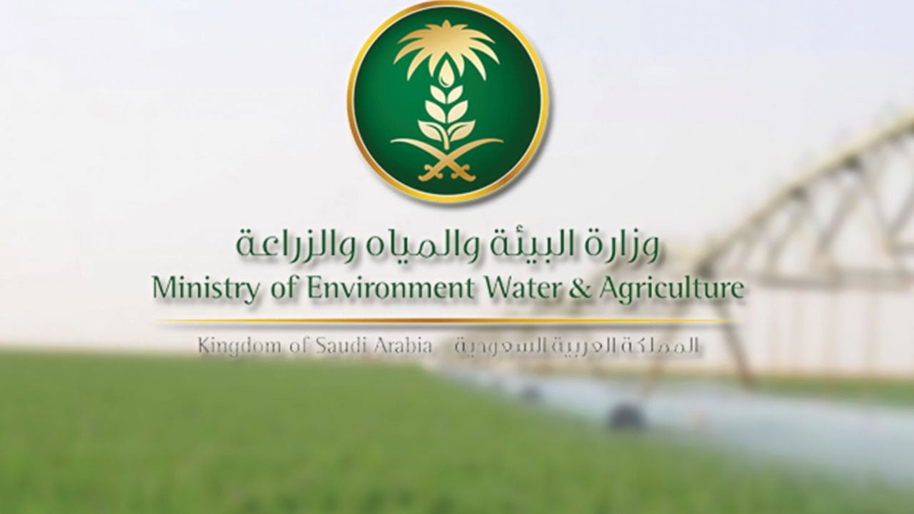 «البيئة» تدعو 375 متقدمًا لوظائفها لإجراء «المقابلات الشخصية»
