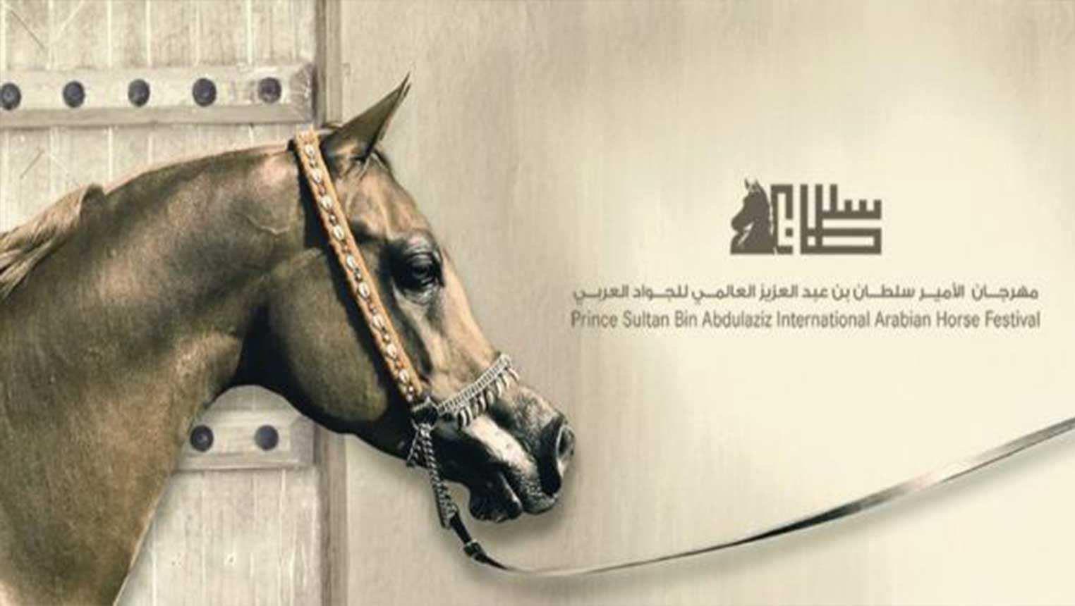 اليوم.. اختتام منافسات مهرجان الأمير سلطان بن عبدالعزيز للجواد العربي