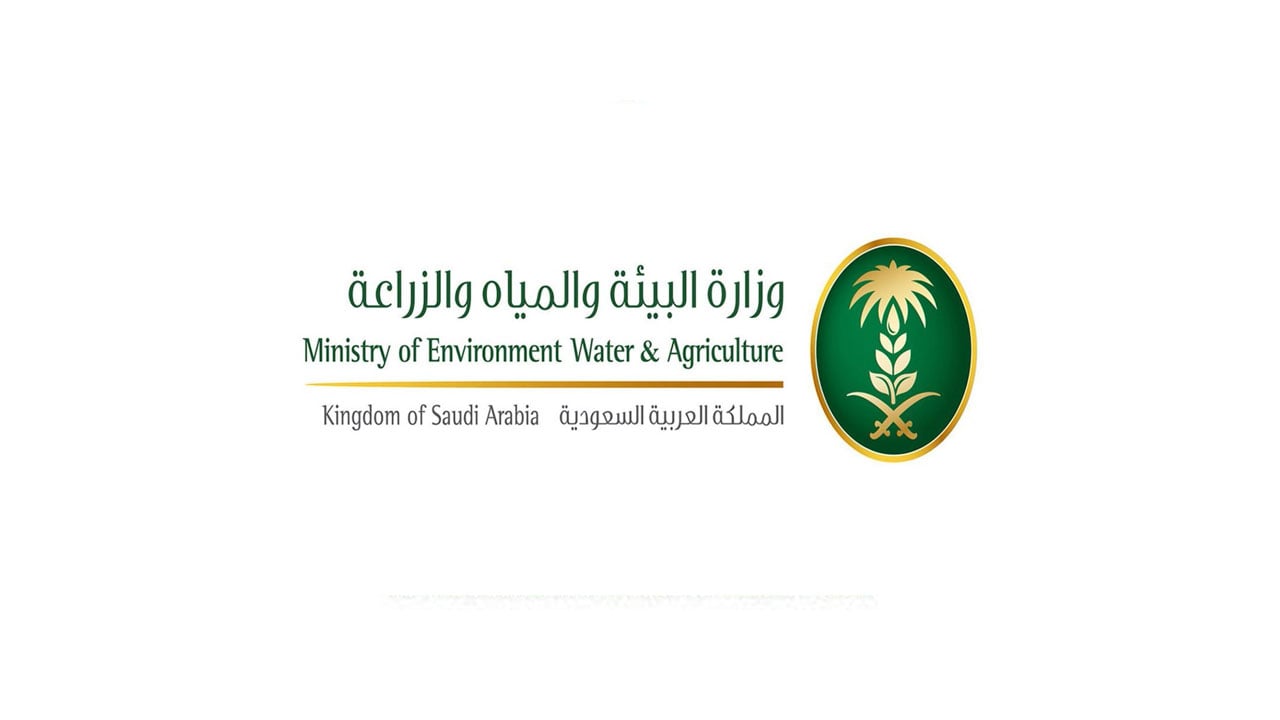 «البيئة» تُعلن خلو الساحل الجنوبي الغربي للمملكة من الجراد الصحراوي
