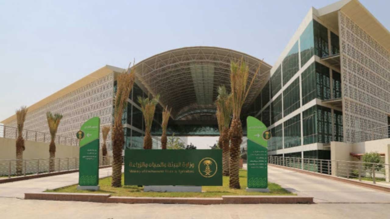 "البيئة" تحدد 9 مهام ومسؤوليات الطبيب البيطري.. تعرف عليها