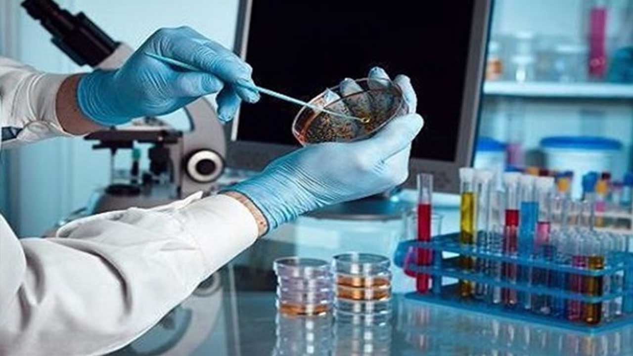 أطباء يصدمون العالم بشأن «مسحات الإصابة بكورونا»: لا تثبت دائمًا