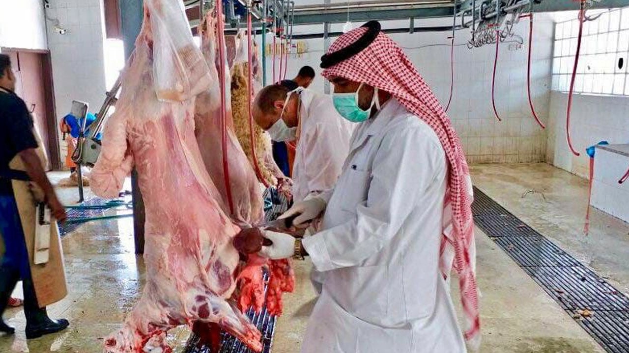 بلدية حوطة بني تميم تكمل استعداداتها لاستقبال عيد الأضحى