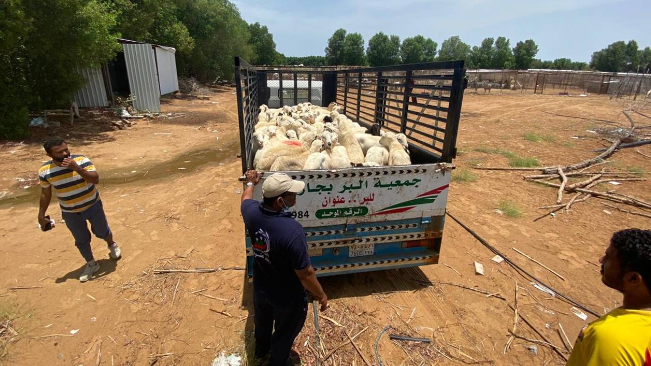 جمعية جازان توزع 250 أضحية تحت شعار «فرحة يتيم بأضحيته»