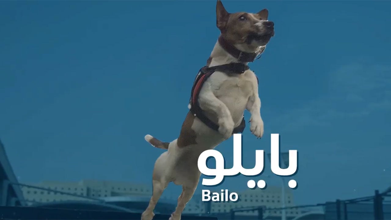 شاهد.. الجمارك تستعين بالكلب «بايلو» للحدّ من انتشار فيروس كورونا