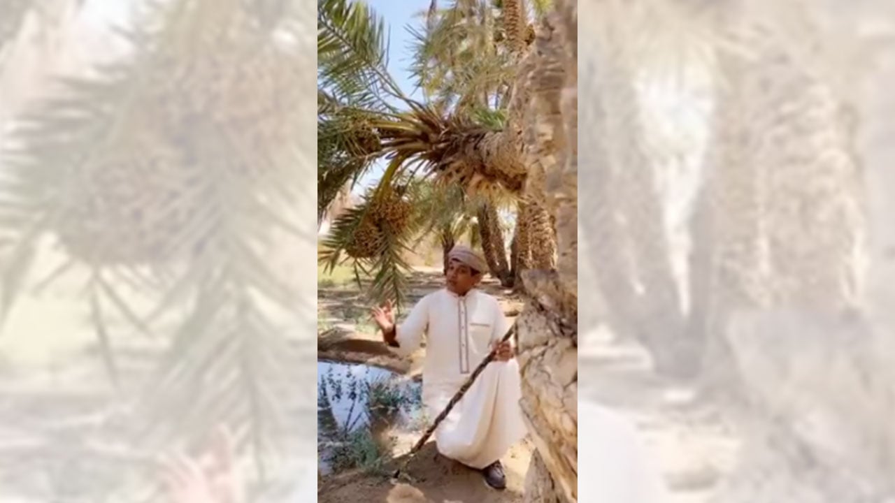 بالفيديو.. «الزعاق» يتوقع تحسن الأجواء خلال هذا الأسبوع