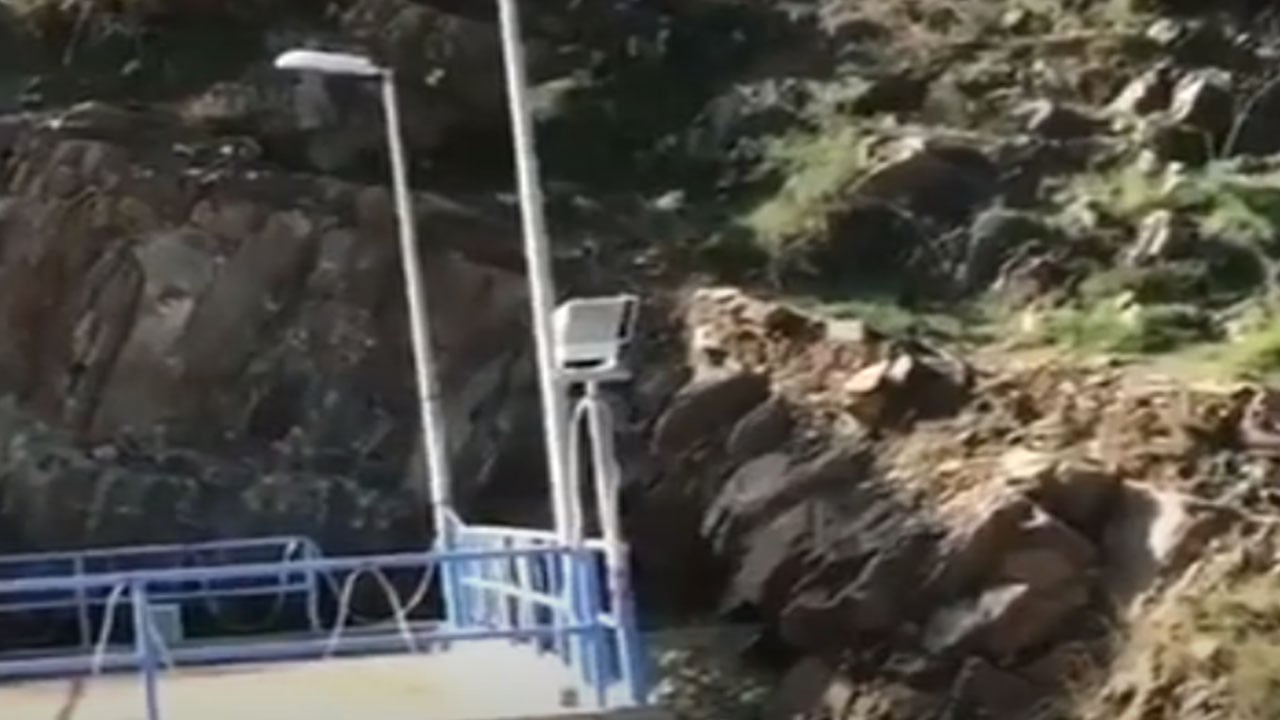 بالفيديو.. هيئة الحياة الفطرية توضِّح حقيقة «النمر الأسود» بالباحة