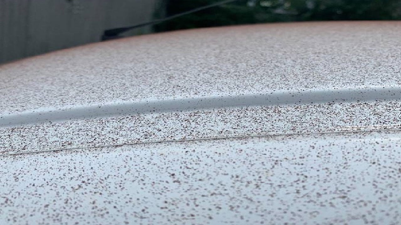 السماء تمطر «شوكولاتة» فاخرة في سويسرا