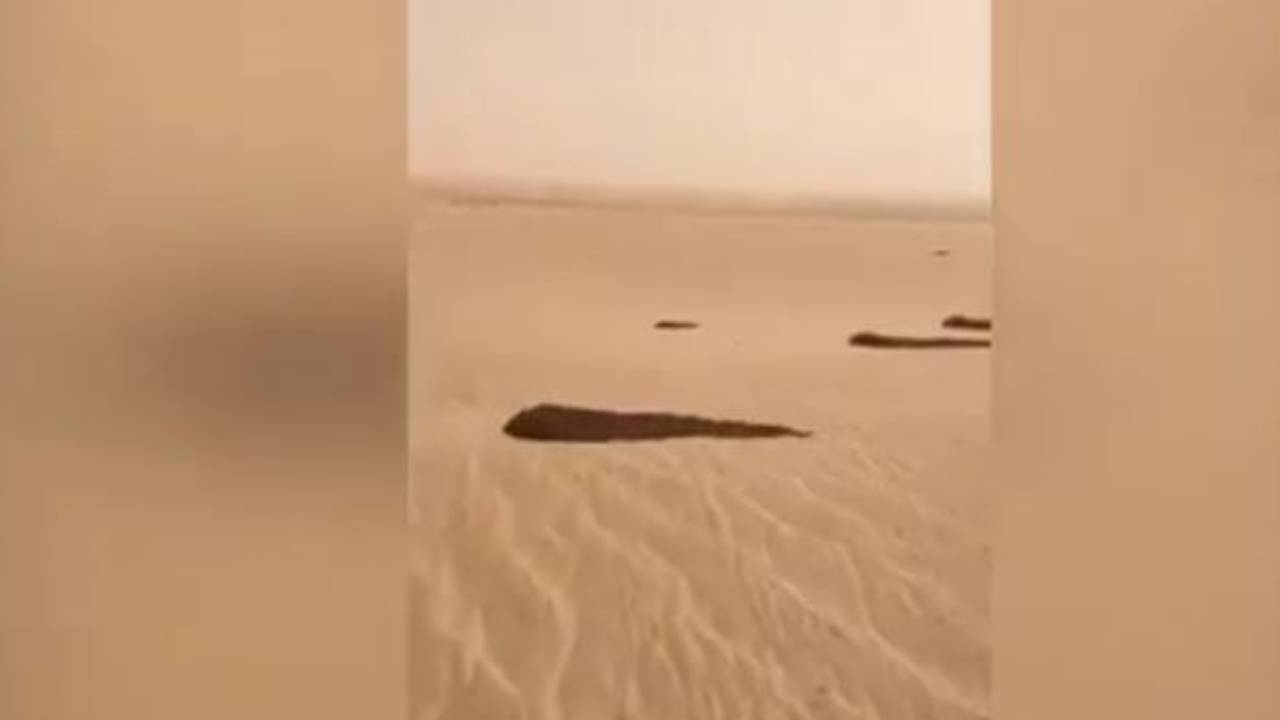 بالفيديو.. تقرير رسمي يحذر من كارثة طبيعية تهدد 3 دول عربية