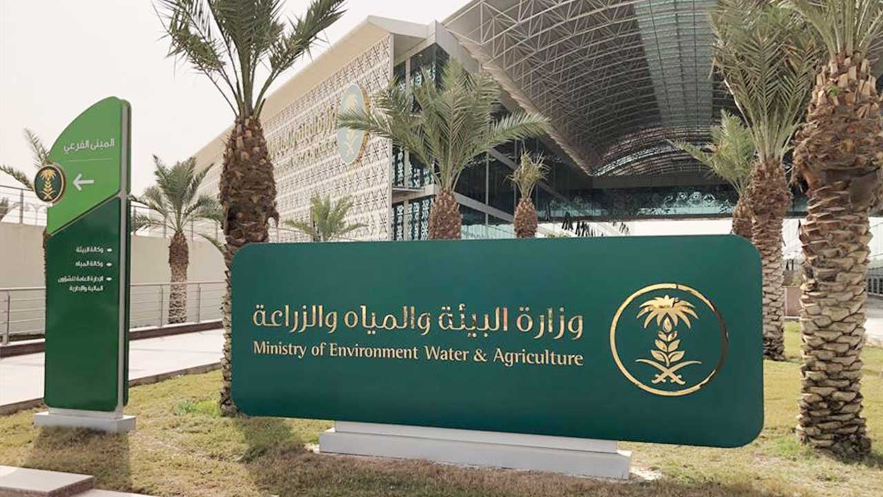 «البيئة» تعلن مواعيد ترقيم الإبل في رفحاء
